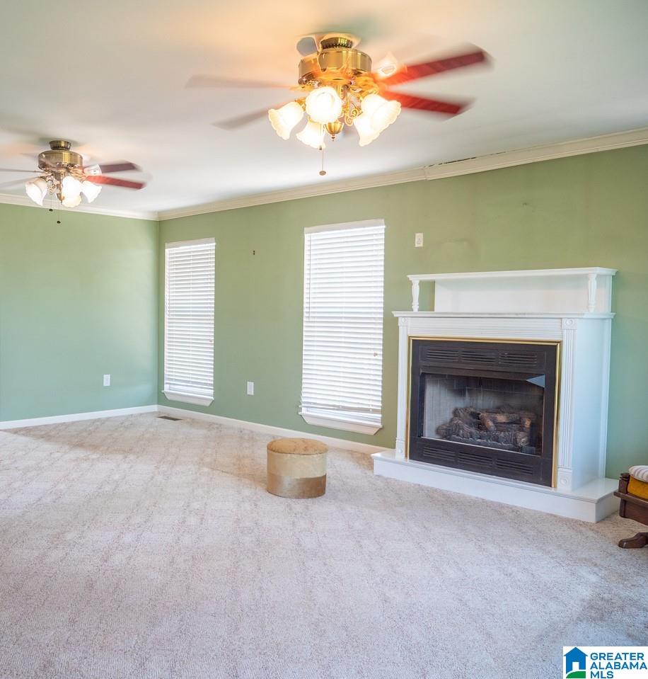 5015 Highway 24 Springville Al Springville, AL 35146 - Photo 10 of 44