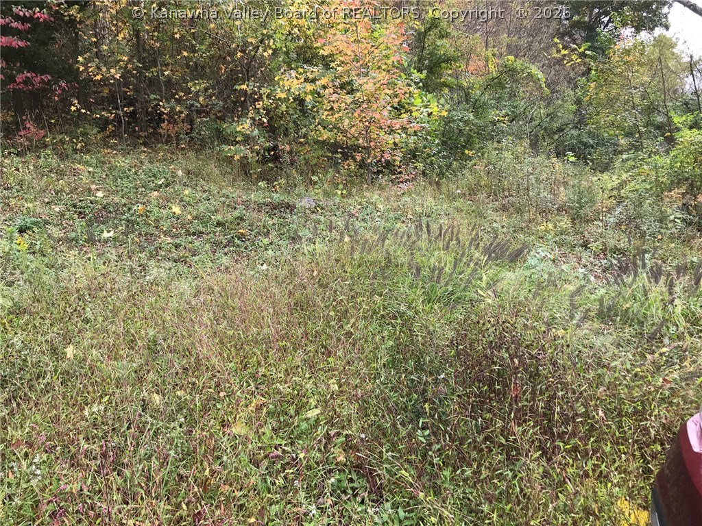 629 Strawberry Road St. Albans, WV 25177 - Photo 1 of 10 Gallery Image 1