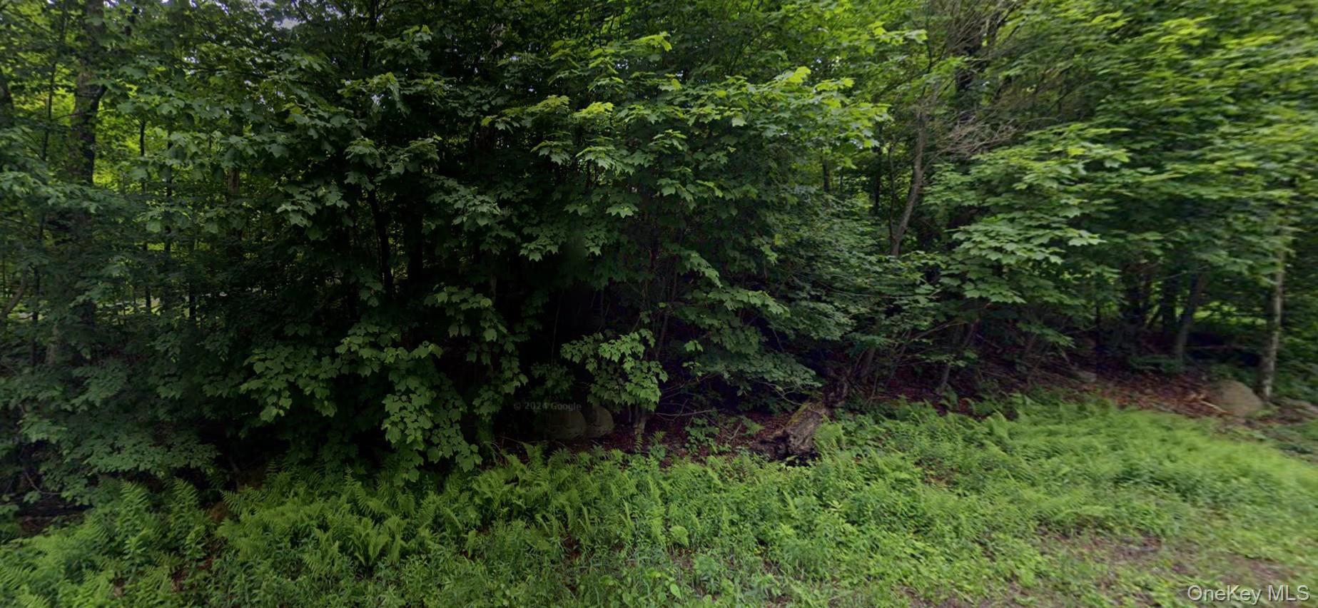 a view of backyard with green space