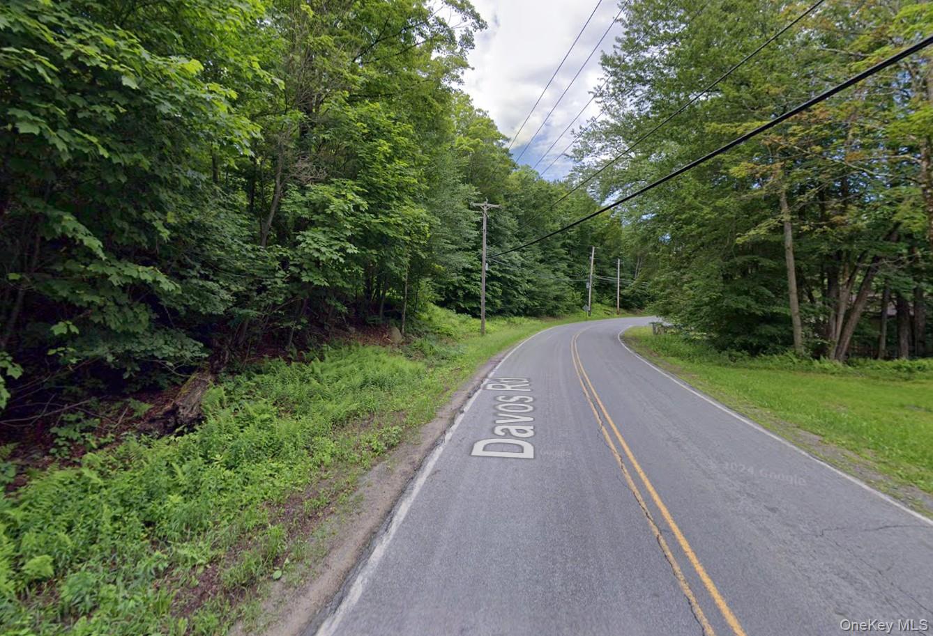 375 A Davos Road Fallsburg, NY 12789 - Photo 2 of 2 a view of street view with outdoor space