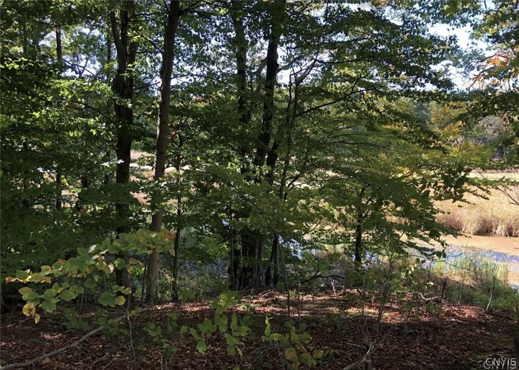 15113 West Creek Road Sterling, NY 13156 - Photo 2 of 10