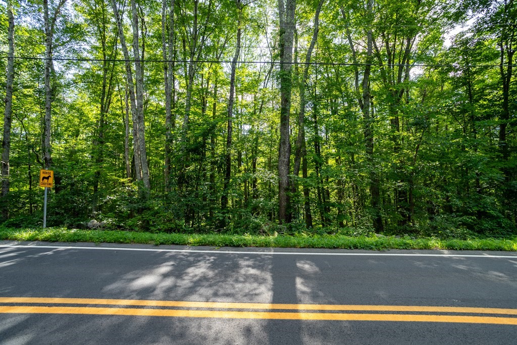 Lot 1 Petersham Road Hardwick, MA 01037 - Photo 14 of 40 Gallery Image 14