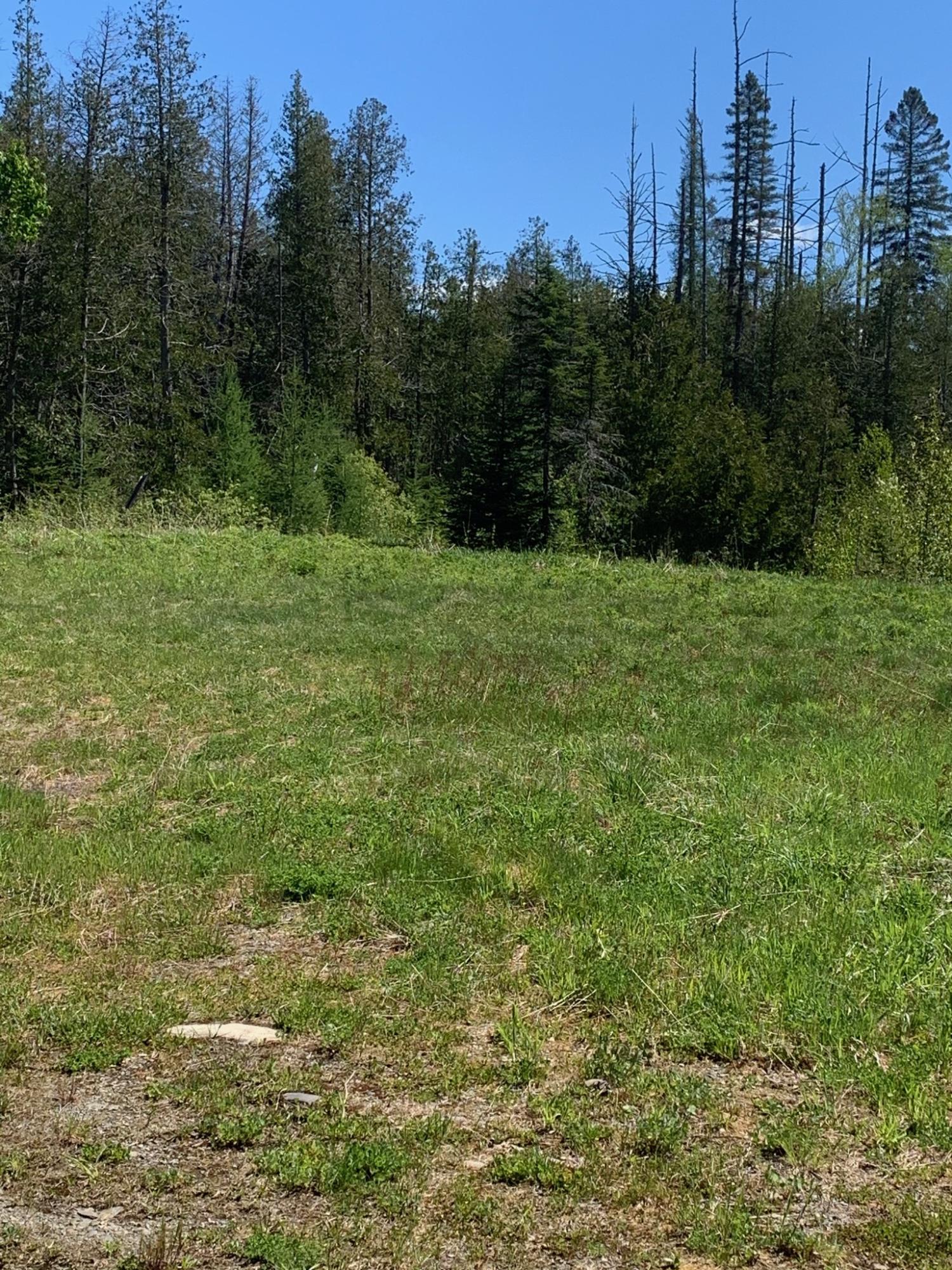 11 Stratton Road Rangeley, ME 04970 - Photo 8 of 10 D1C632CC-9B36-4074-89FB-83AE079D2A7B