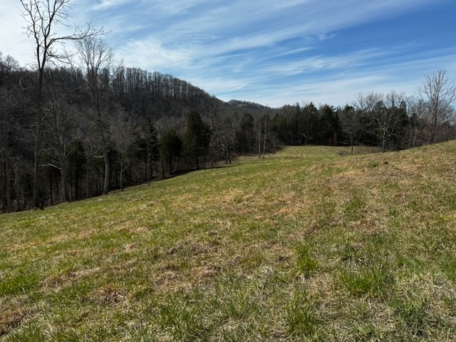 Tbd New Garden Road Cleveland, VA 24225 - Photo 9 of 38 Gallery Image 9