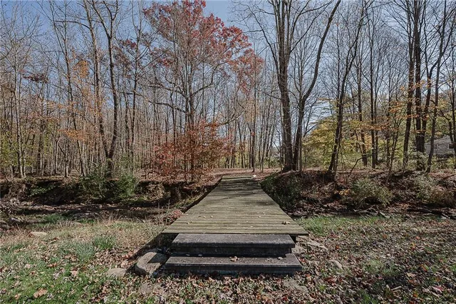 a backyard of a house with trees