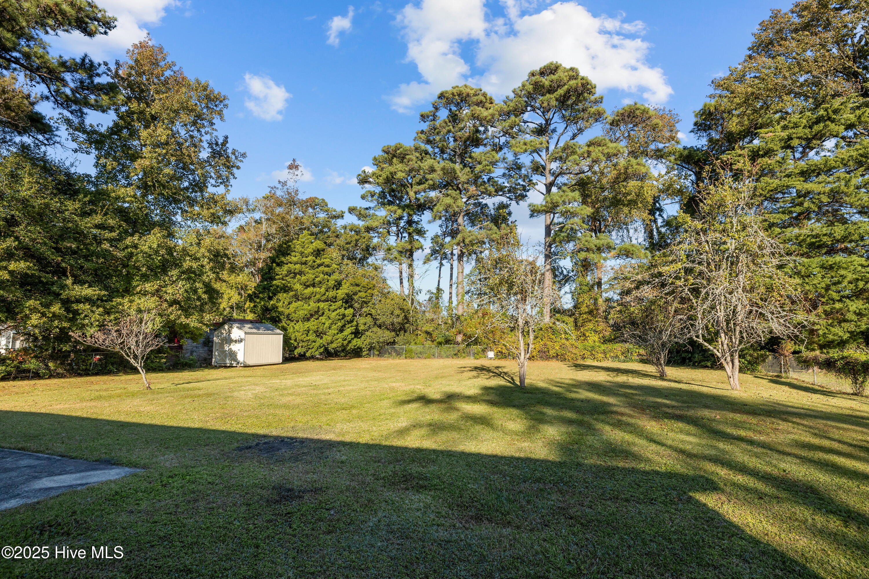 Back yard