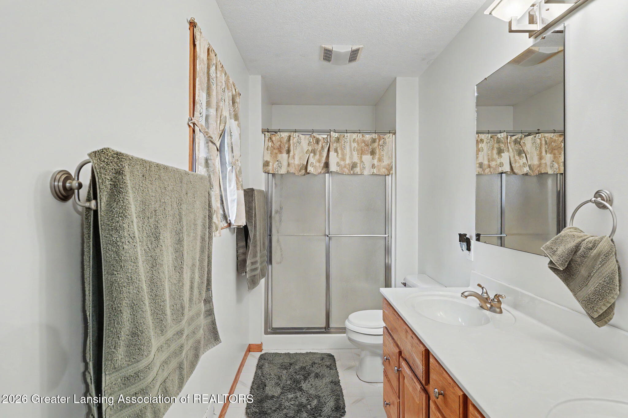 248 Birch Lane Dimondale, MI 48821 - Photo 21 of 44 21-web-or-mls-CQ1A2514