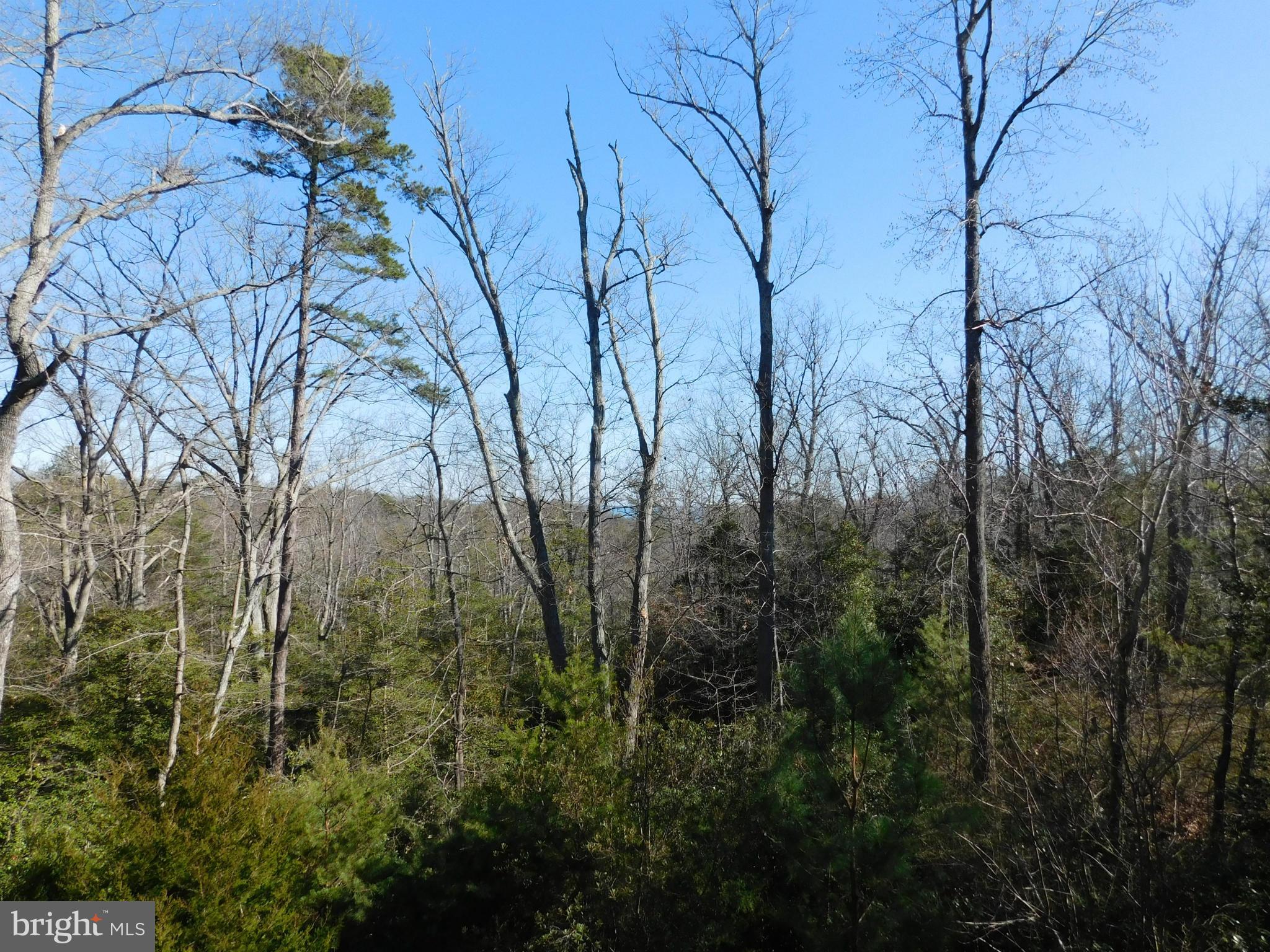 2606 Cove Point Road Lusby, MD 20657 - Photo 4 of 14 view