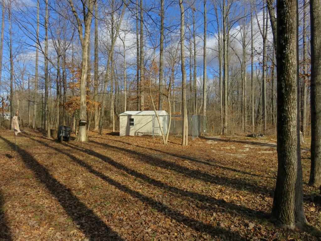 921 North Letterman Road Paragon, IN 46166 - Photo 32 of 36
