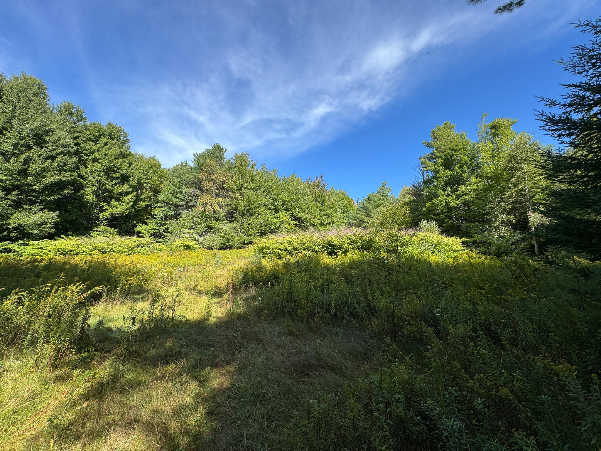 430 Townhouse Road Sangerville, ME 04479 - Photo 16 of 39 IMG_8713