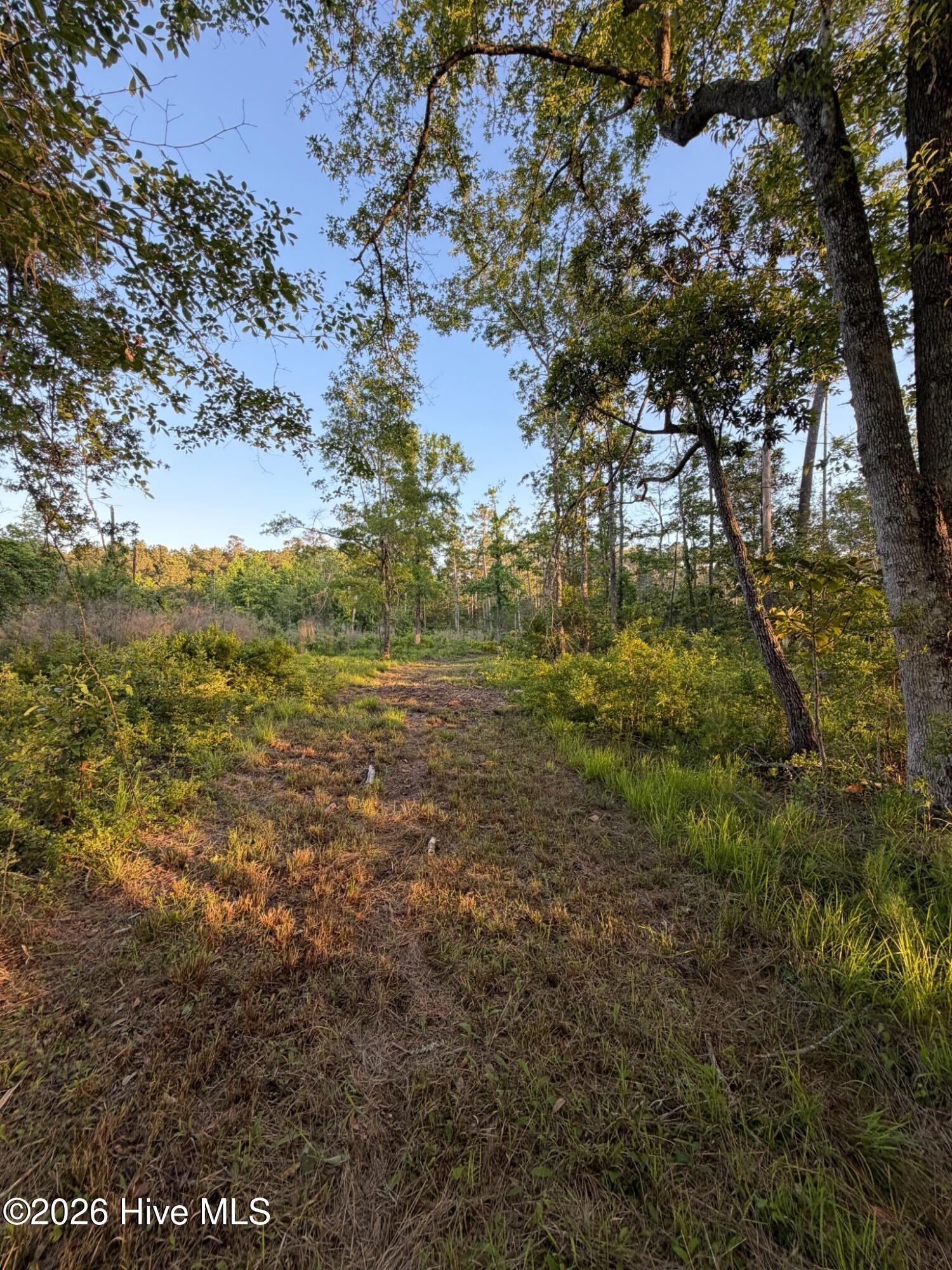 705 Russells Creek Road Beaufort, NC 28516 - Photo 35 of 36