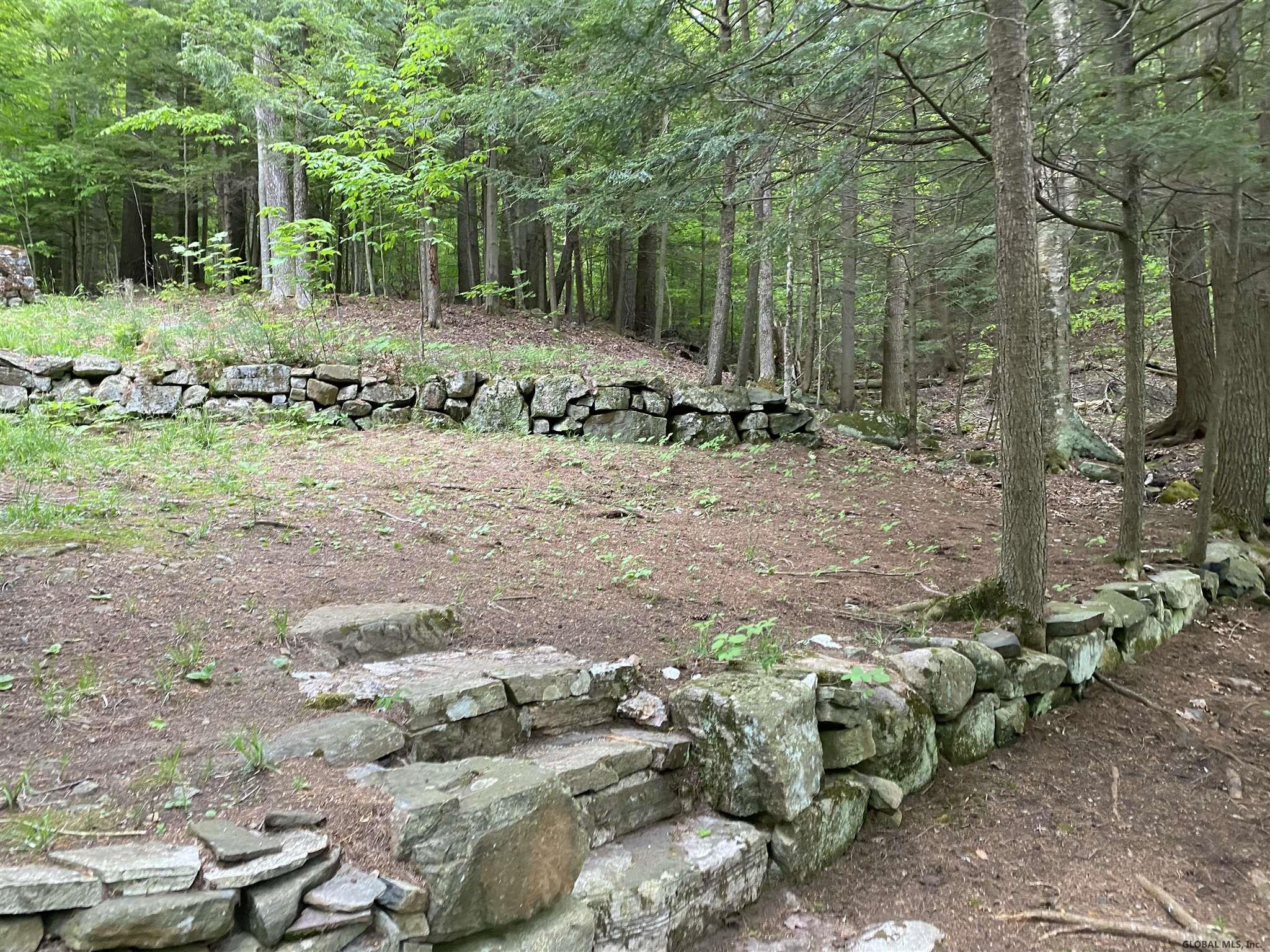 1817 North Shore Road Day, NY 12835 - Photo 37 of 46 Photo 37