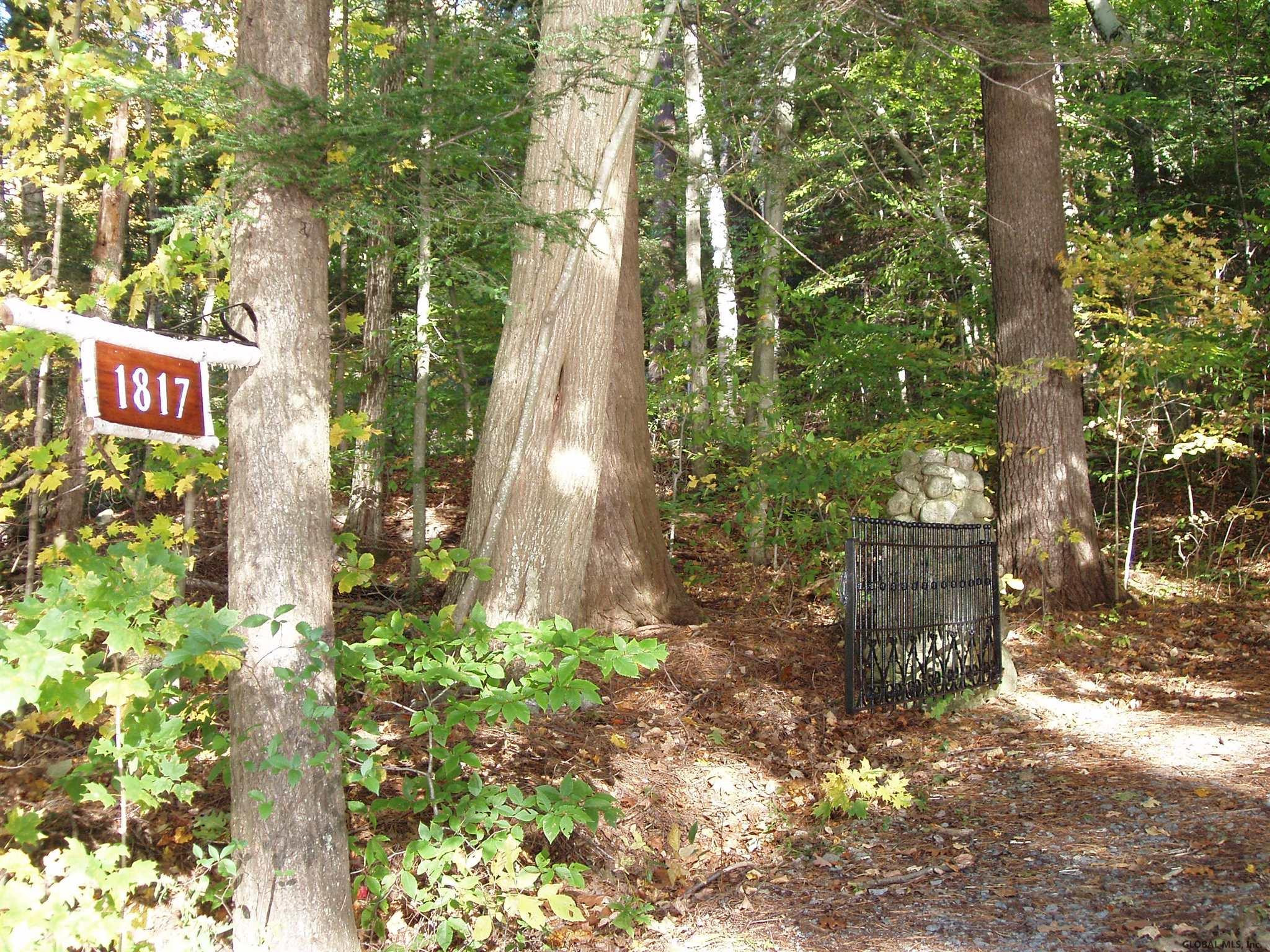 1817 North Shore Road Day, NY 12835 - Photo 39 of 46 Driveway entrance