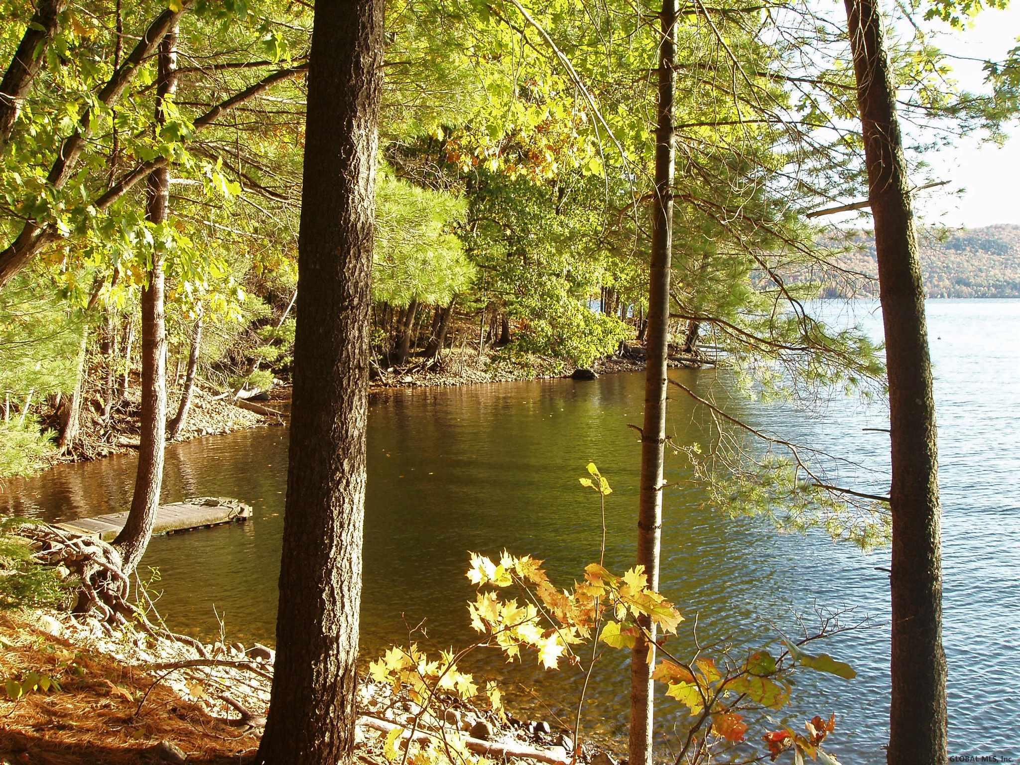 1817 North Shore Road Day, NY 12835 - Photo 42 of 46 View from 175' lake access area