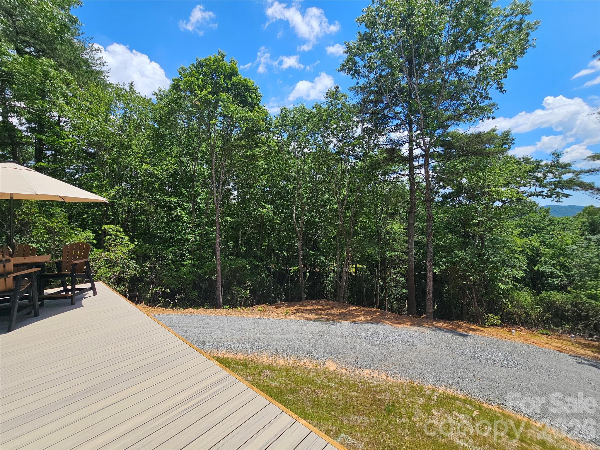 171 Duff Cv Road Brevard, NC 28712 - Photo 12 of 32