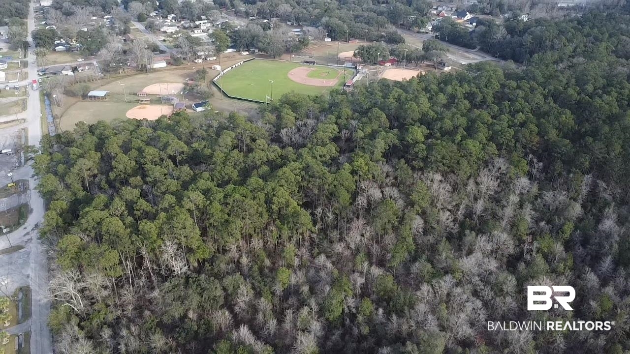 0 Baldwin Road Satsuma, AL 36572 - Photo 7 of 26 Aerial view
