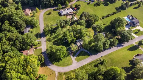 a view of a garden with plants