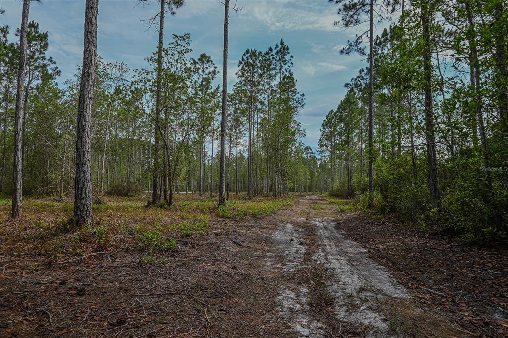 Northeast 150th Avenue Road Fort McCoy, FL 32134 - Photo 42 of 48 Gallery Image 42
