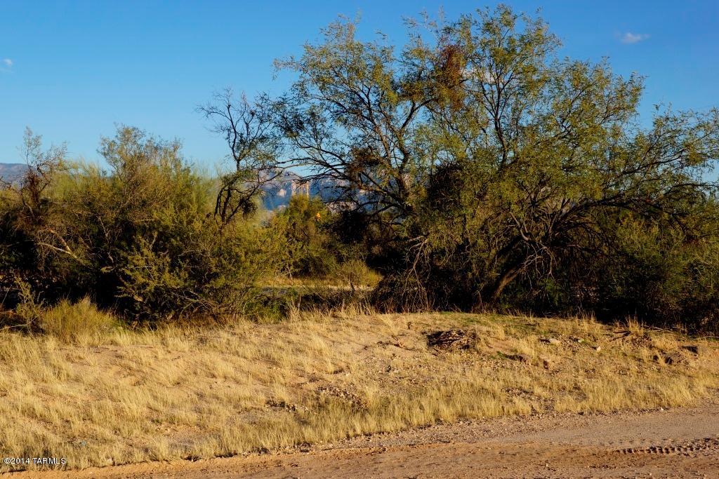 4308 West Tangerine Road Marana, AZ 85658 - Photo 7 of 9