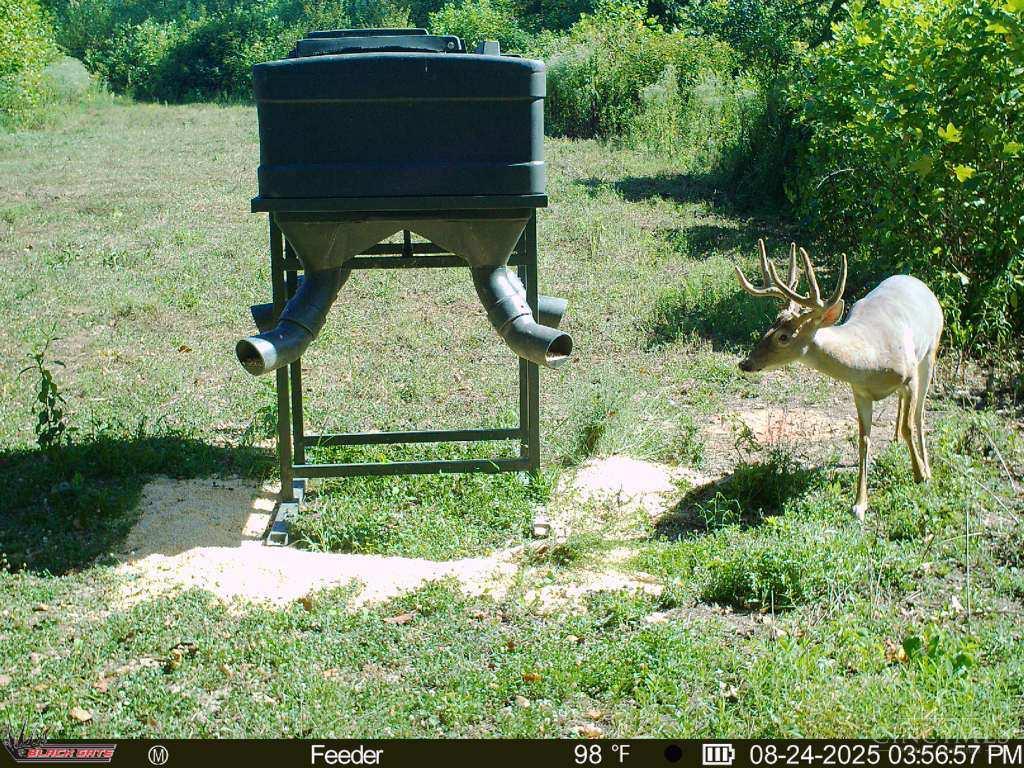 A Enley Road McDermott, OH 45652 - Photo 33 of 97