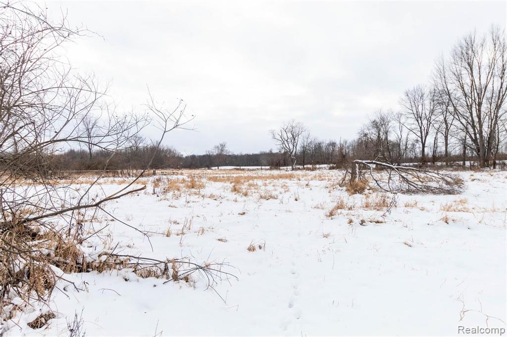 10695 Roberts Road Stockbridge, MI 49285 - Photo 54 of 60