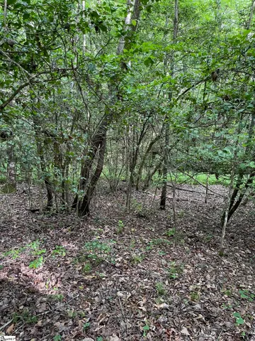 $215,000 | 0 Burts Road, Easley, SC 29640