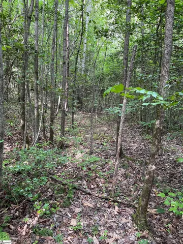 $215,000 | 0 Burts Road, Easley, SC 29640