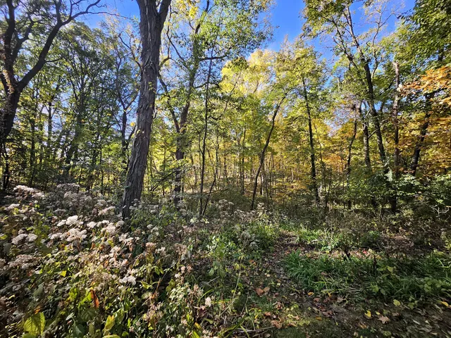 $340,000 | 487 Timber Lake Drive, Lowell, IN 46356