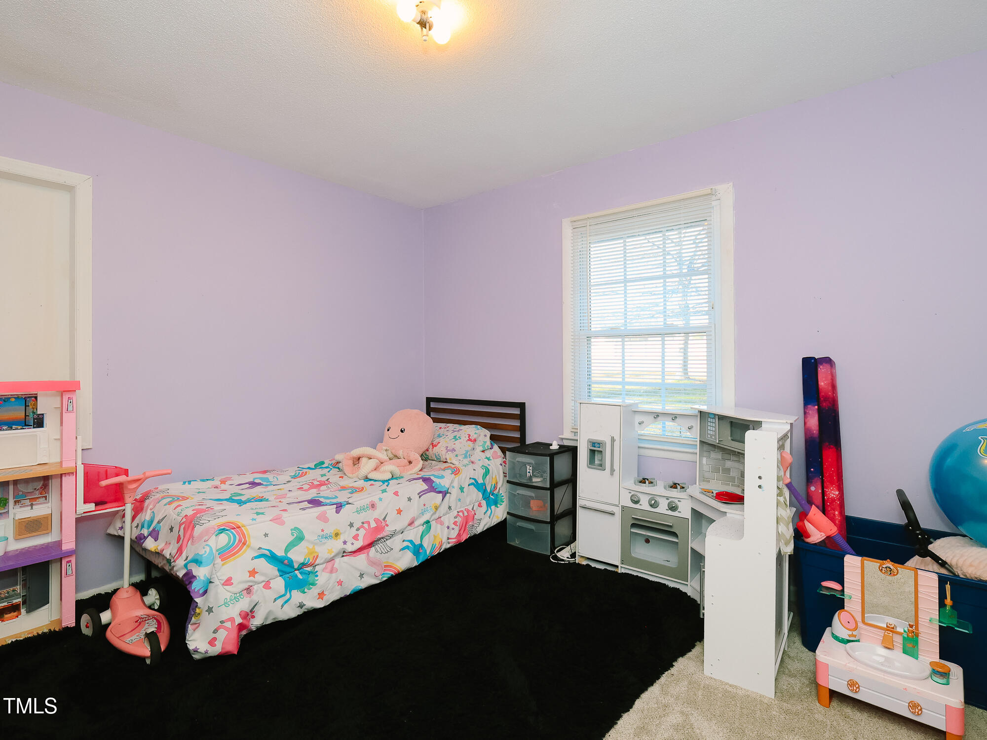 1354 Mudham Road Zebulon, NC 27597 - Photo 30 of 47 042_1354_mudham_bedroom3