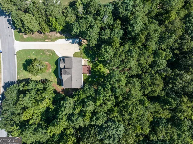 a view of a back yard with green space