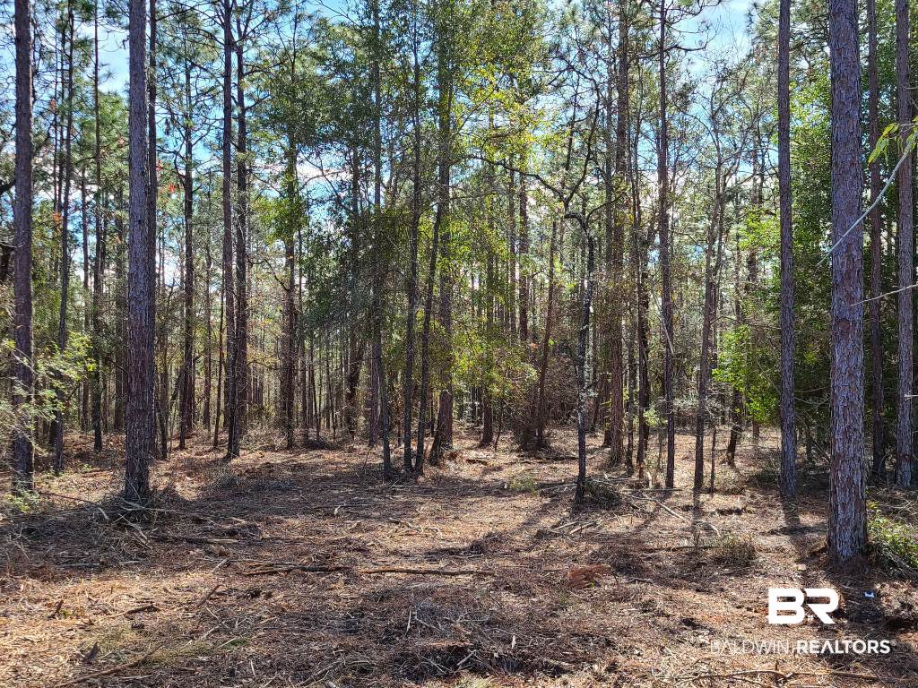 9880 Bromley Road Daphne, AL 36527 - Photo 6 of 6