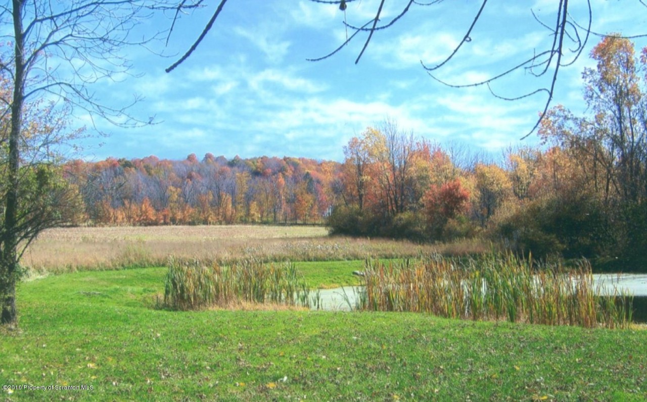 389 Stone Road Dalton, PA 18414 - Photo 3 of 10 Pond