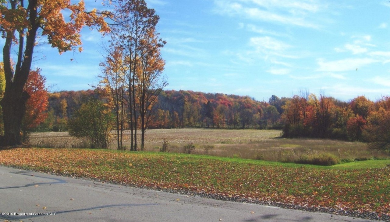 389 Stone Road Dalton, PA 18414 - Photo 4 of 10 Road and Field
