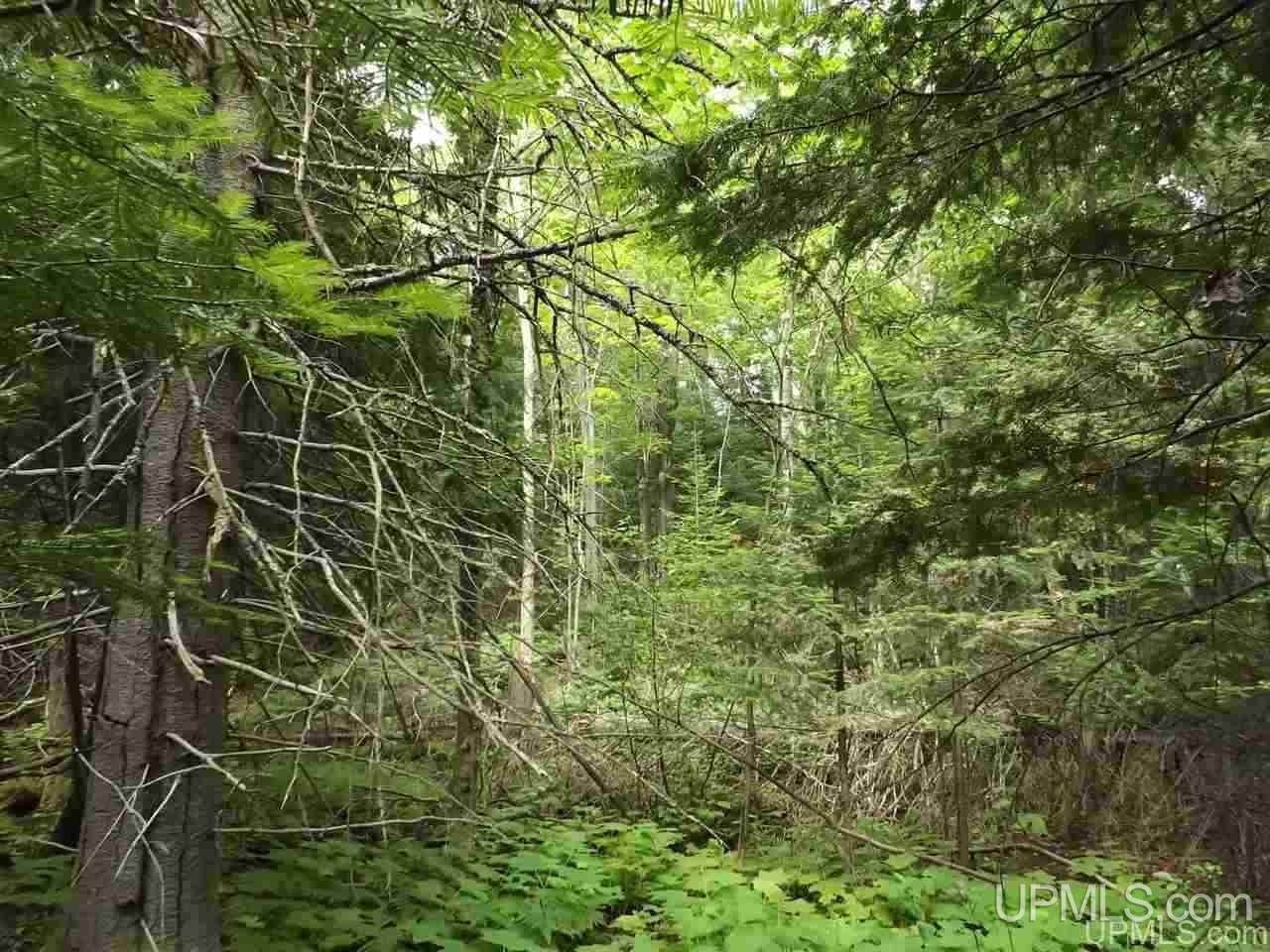 Tbd Ford Farm Road Skanee, MI 49962 - Photo 11 of 27