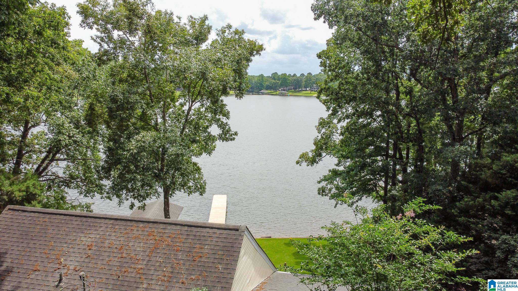 442 Lakeview Circle Alpine, AL 35014 - Photo 47 of 57