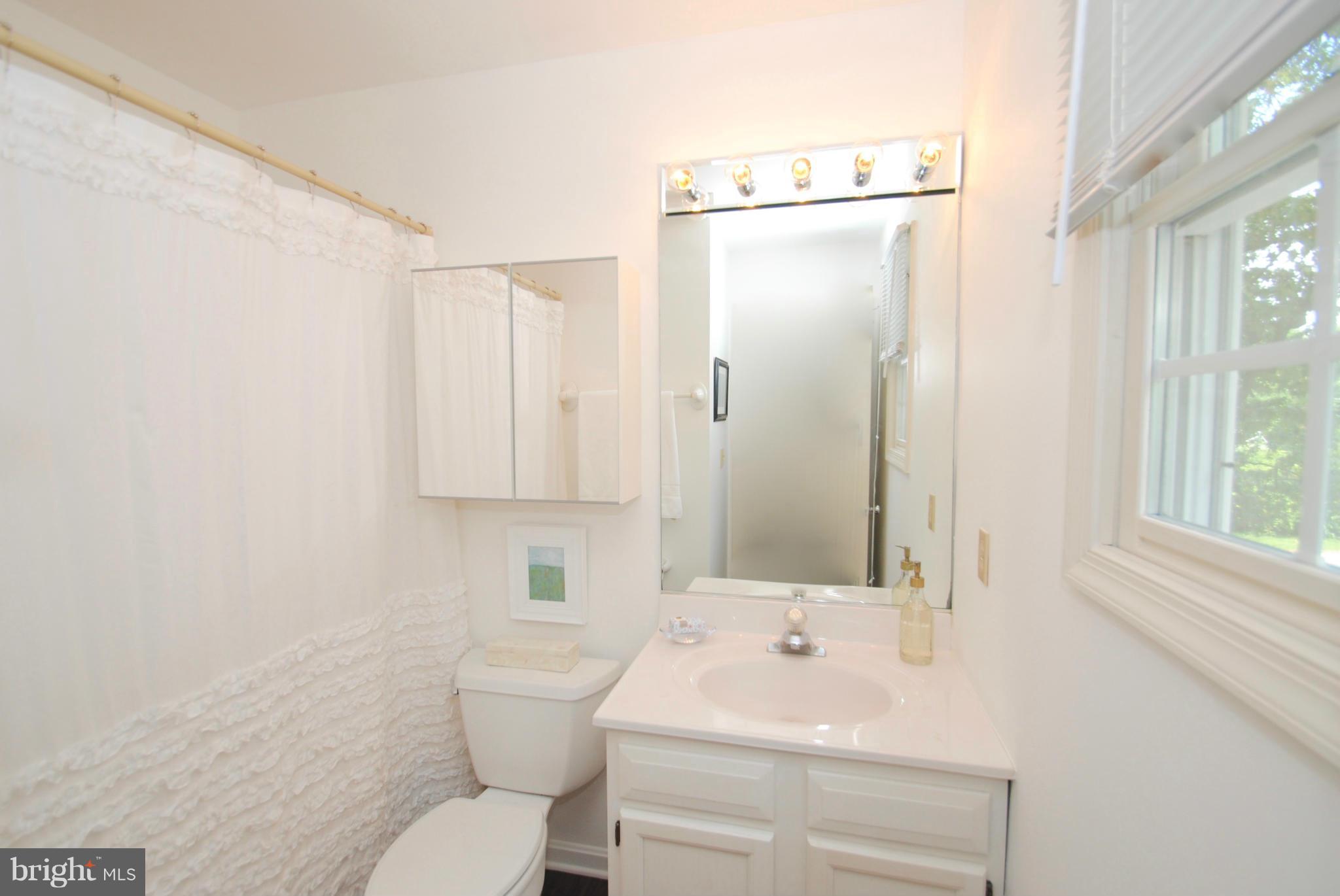1531 Mayfield Road Edgewater, MD 21037 - Photo 15 of 26 a bathroom with a sink a toilet and shower curtain