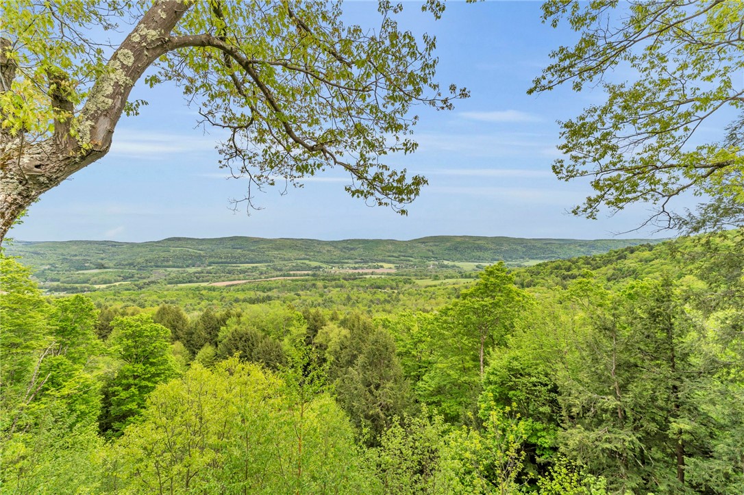 180 Campbell Hill Road Middlefield, NY 13326 - Photo 39 of 47