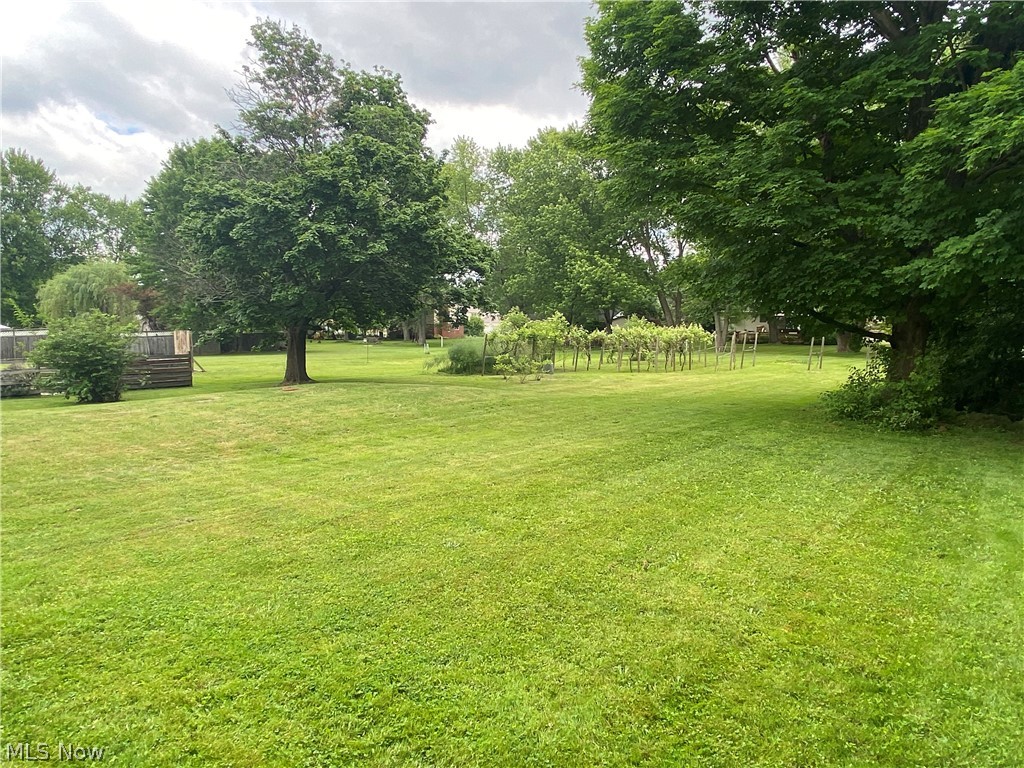 4675 Roop Avenue Norton, OH 44203 - Photo 5 of 19