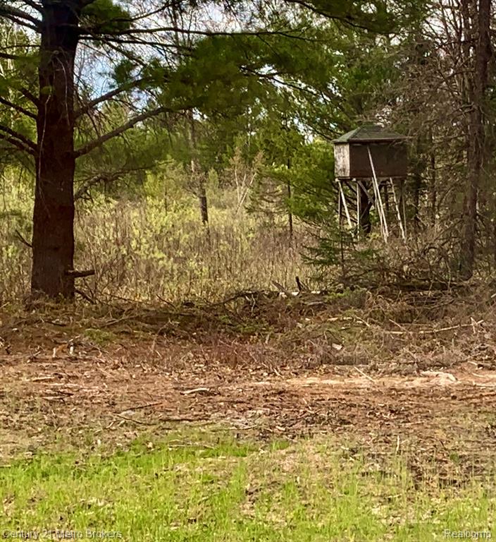 0 East Sugar River Road Alger, MI 48610 - Photo 16 of 50