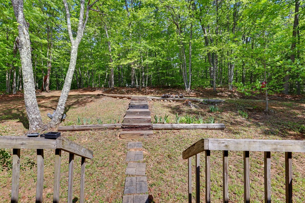 3235 Hiwassee Dam Access Road Murphy, NC 28906 - Photo 11 of 45