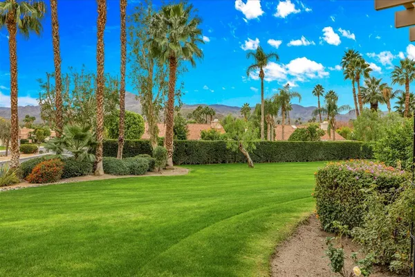 a view of a trees with a big yard