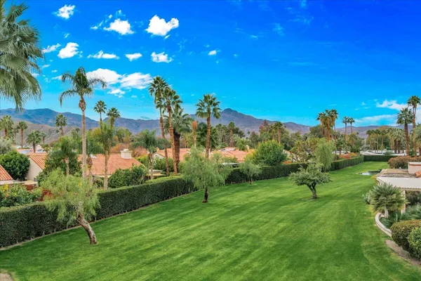 a view of a garden