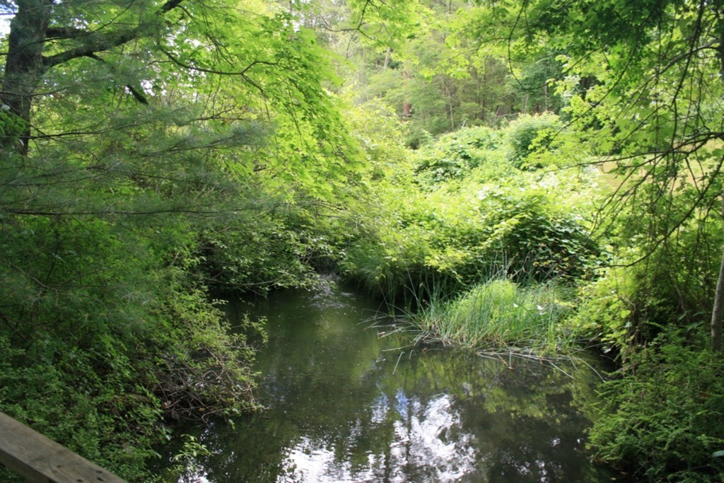 60 Parsonage Road Plympton, MA 02367 - Photo 25 of 30 Gallery Image 25