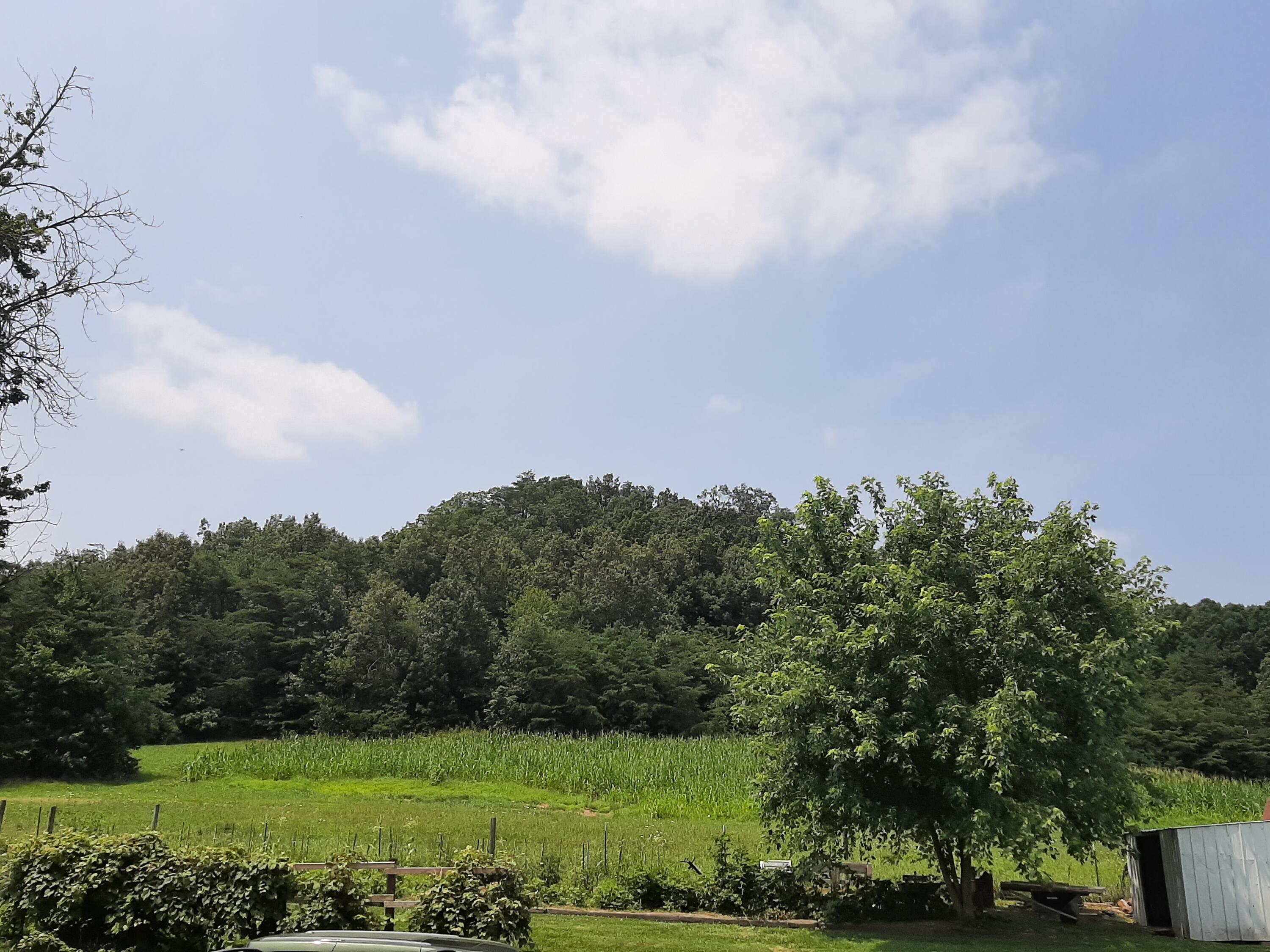 2845 Bowens Loop Road Stanford, KY 40484 - Photo 35 of 65 20210722_142358