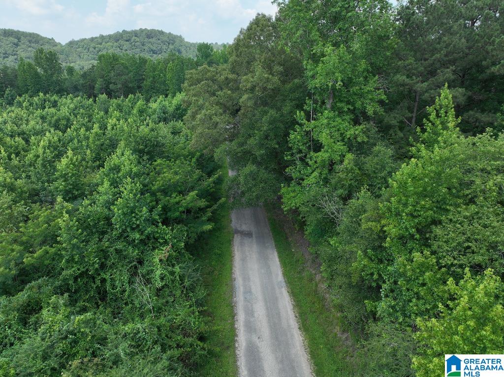 11 11 Foot Road Oakman, AL 35579 - Photo 20 of 25