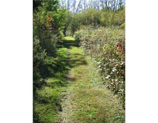 7723 Nollar Road Whitmore Lake, MI 48189 - Photo 10 of 10 Photo 10