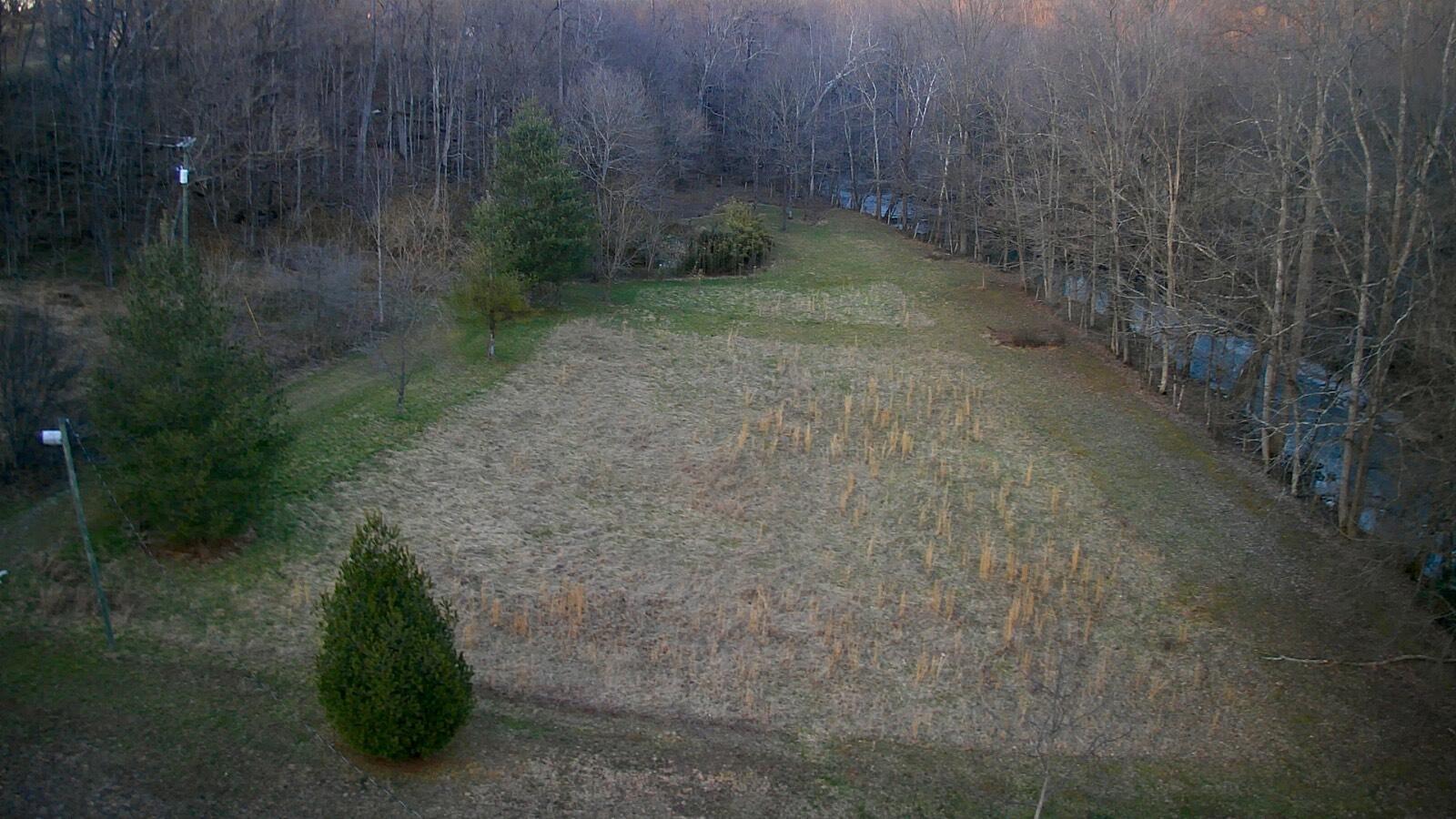 124 Bens Cliff Road Monticello, KY 42633 - Photo 49 of 49 IMG_6260