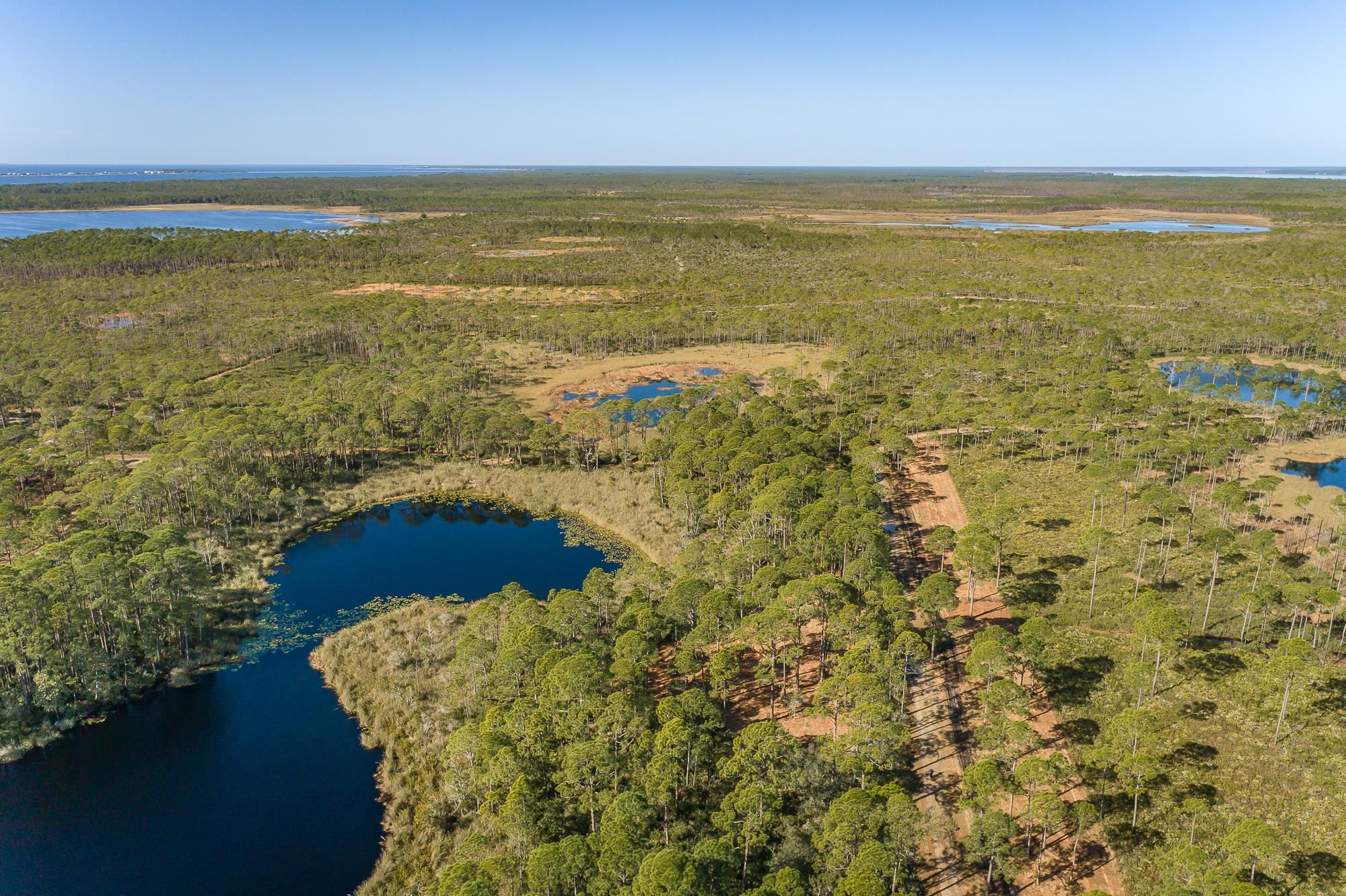 204 Maple Street Alligator Point, FL 32346 - Photo 14 of 15