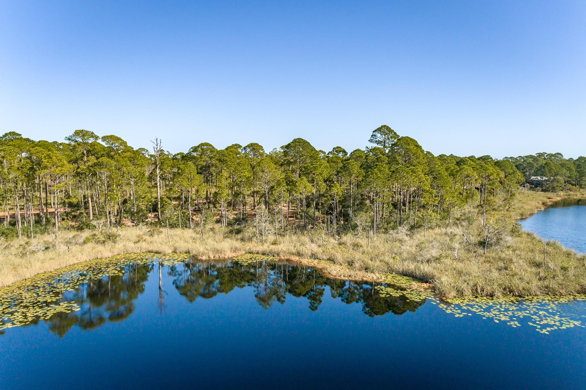 204 Maple Street Alligator Point, FL 32346 - Photo 2 of 15