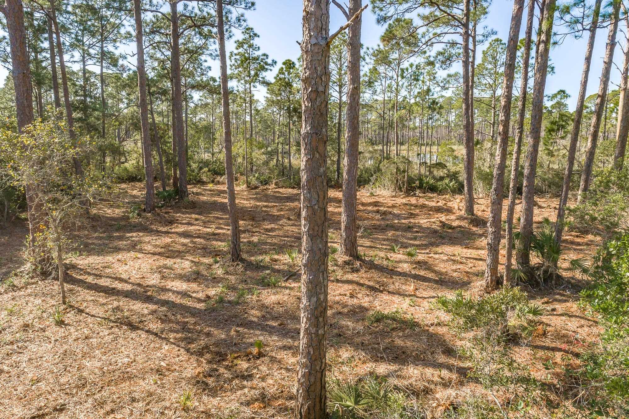 204 Maple Street Alligator Point, FL 32346 - Photo 5 of 15